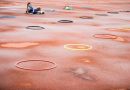 WhmKuGa0074_01_08_2020.jpg