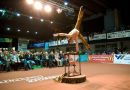 Das akrobatische Vorprogramm der Gala 2010.jpg